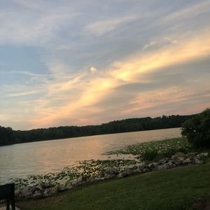 Meet your Posher, Sydney